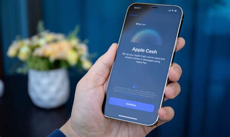 Apple Faces Lawsuit Over Apple Cash From Venmo,。